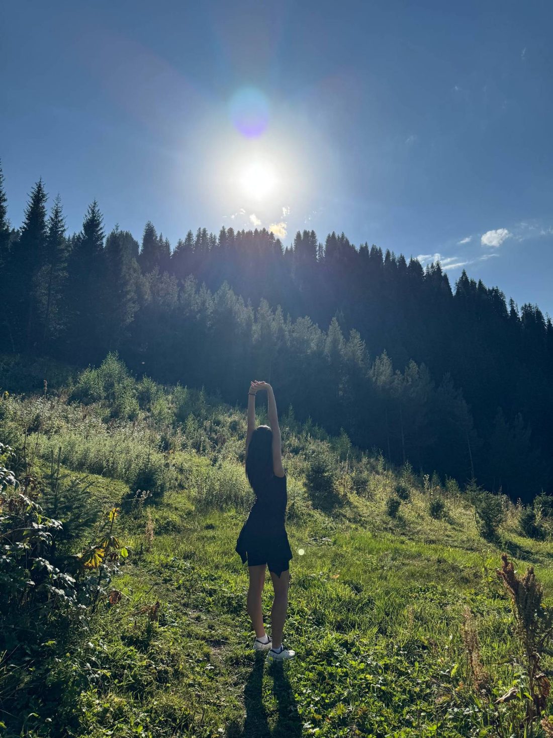 Zhasmin stretching toward the sun on a forest hillside